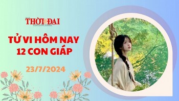 Tử vi hôm nay 12 con giáp 23/7/2024: Tỵ có nhiểu cơ hội gia tăng thu nhập