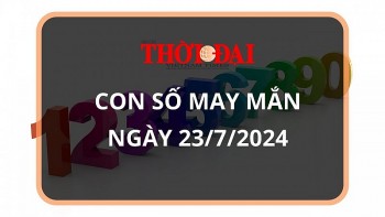 Con số may mắn hôm nay 23/7/2024 12 con giáp: Mùi cát tinh soi đường, lộc lá tràn về