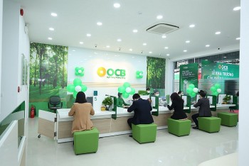 20 cổ đông nắm 80,6% vốn ngân hàng OCB