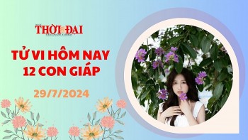 Tử vi hôm nay 12 con giáp 29/7/2024: Tý sự nghiệp lên hương