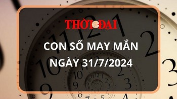 Con số may mắn hôm nay 31/7/2024 12 con giáp: Dậu thần tài gõ cửa, lộc lá tuồn vào nhà đúng ngày cuối tháng