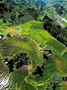 Mù Cang Chải xếp ở vị trí số 1 trong top 25 điểm đến sở hữu vẻ đẹp siêu thực đáng kinh ngạc