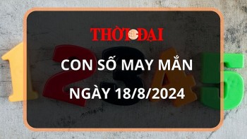 Con số may mắn hôm nay 18/8/2024 12 con giáp: Tỵ tiền đồ gia tăng nhanh chóng