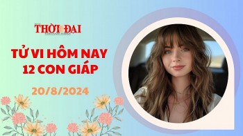 Tử vi hôm nay 12 con giáp 20/8/2024: Tý tam hội nâng đỡ mọi sự thuận lợi