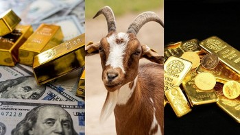 Top con giáp may mắn hôm nay (19/8/2024): Tuổi Mùi tiếp tục được xướng tên
