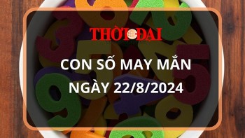 Con số may mắn hôm nay 22/8/2024 12 con giáp: Mão nhận được khoản tiền lớn