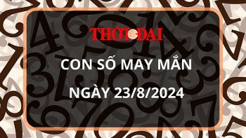 Con số may mắn hôm nay 23/8/2024 12 con giáp: Dậu tin vui ngập tràn