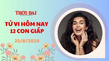 Tử vi hôm nay 12 con giáp 25/8/2024: Dần gặp nhiều may mắn