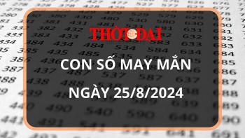Con số may mắn hôm nay 25/8/2024 12 con giáp: Tý – Dần thần tài gõ cửa mang lộc vào nhà