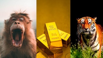 Top con giáp may mắn hôm nay (25/8/2024): Thân công danh xán lạn Dần quý nhân soi đường