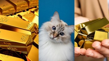 Top con giáp may mắn hôm nay (26/8/2024): Dậu sự nghiệp khai thông, Thân nhiều cơ hội thăng tiến