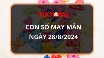 Con số may mắn hôm nay 28/8/2024 12 con giáp: Hợi tiền tài dội vào nhà