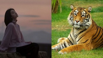 con giap xui xeo hom nay 1492024 dan gap nhieu bat trac