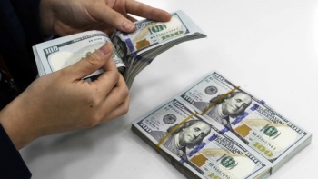 Kho bạc Nhà nước tiếp tục mua ngoại tệ