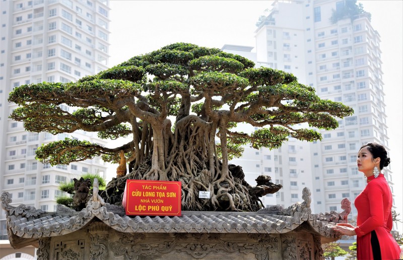 Ảnh có tính chất minh hoạ. Ảnh có tính chất minh hoạ.