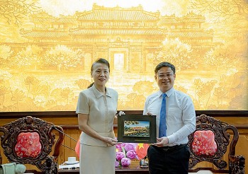 them nhip cau ket noi nha dau tu trung quoc voi tinh thua thien hue