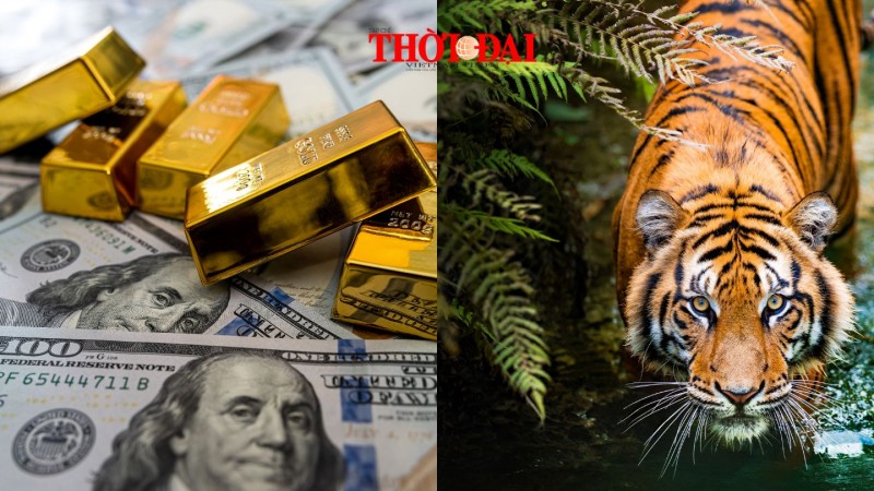 Top con giáp may mắn hôm nay 21/9/2024: Tiền bạc đi lên sự nghiệp thăng tiến