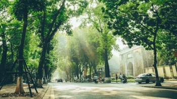 thoi tiet hom nay 1410 bac bo co suong mu nhe mua rao rai rac