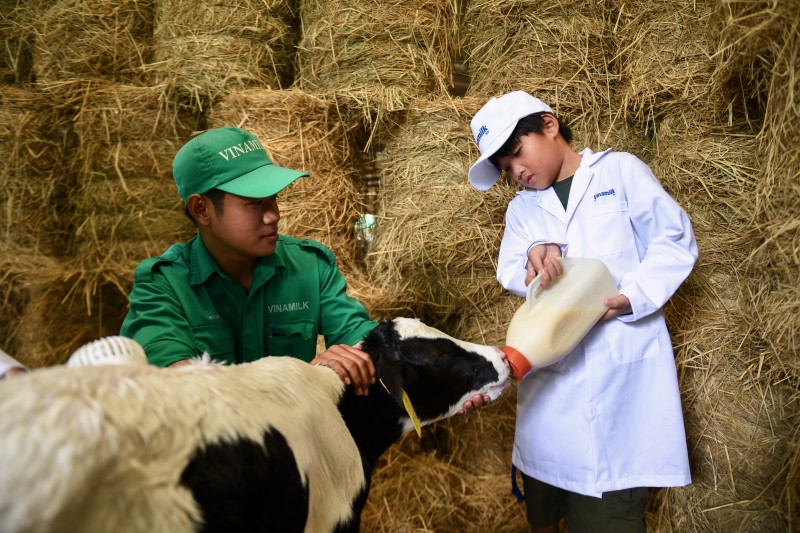 Học sinh thích thú khám phá trang trại, nhà máy “xanh” sản xuất ra hộp sữa Vinamilk Học sinh thích thú khám phá trang trại, nhà máy “xanh” sản xuất ra hộp sữa Vinamilk