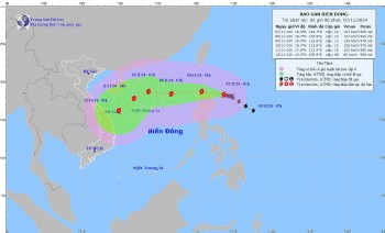 Sẵn sàng ứng phó với bão Yinxing