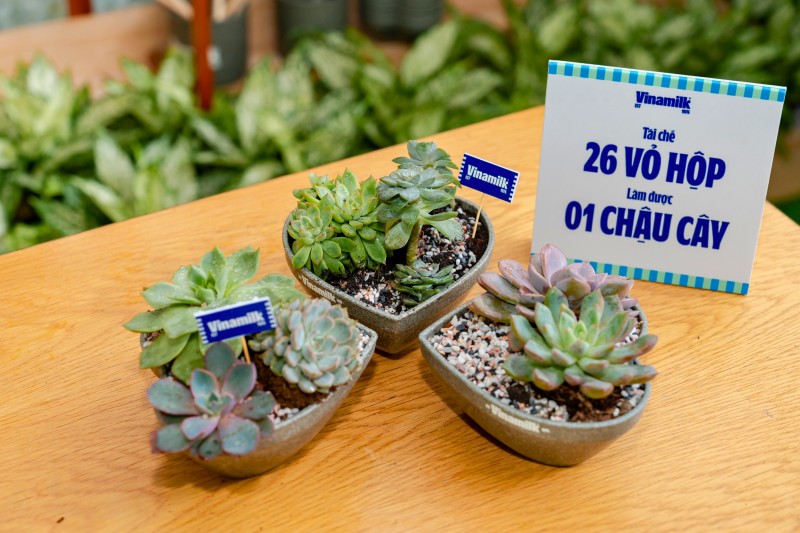Các bạn trẻ hào hứng với trải nghiệm “Siêu xanh, siêu xinh” đến từ Vinamilk Các bạn trẻ hào hứng với trải nghiệm “Siêu xanh, siêu xinh” đến từ Vinamilk