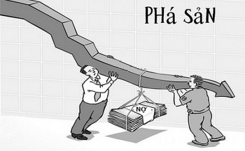 no hop dong 77 ty cong ty sao bac dau bi doi tac yeu cau mo thu tuc pha san