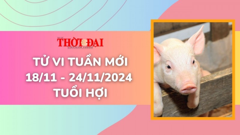 Tử vi tuần mới 18/11 đến 24/11/2024 tuổi Hợi: Tình duyên, công danh tài lộc Tử vi tuần mới 18/11 đến 24/11/2024 tuổi Hợi: Tình duyên, công danh tài lộc