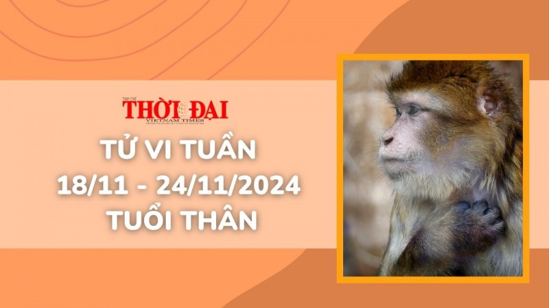 Tử vi tuần mới 18/11 đến 24/11/2024 tuổi Thân: Tình duyên, công danh tài lộc, Sức khỏe Tử vi tuần mới 18/11 đến 24/11/2024 tuổi Thân: Tình duyên, công danh tài lộc, Sức khỏe