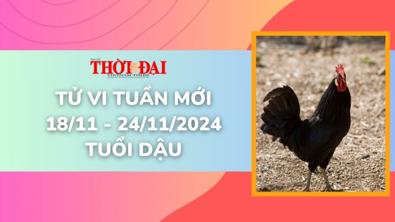 Tử vi tuần mới 18/11 đến 24/11/2024 tuổi Dậu: Tình duyên, công danh tài lộc Tử vi tuần mới 18/11 đến 24/11/2024 tuổi Dậu: Tình duyên, công danh tài lộc