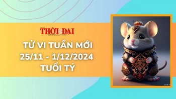 tu vi tuan moi 2511 den 1122024 tuoi ty cong danh tai loc tinh duyen