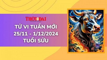 tu vi tuan moi 2511 den 1122024 tuoi suu tinh duyen cong danh tai loc suc khoe
