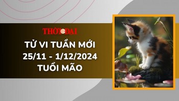 tu vi tuan moi 2511 den 1122024 tuoi mao tinh duyen cong danh tai loc su nghiep