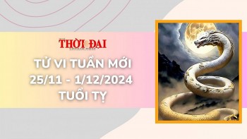 tu vi tuan moi 2511 den 1122024 tuoi ty tinh duyen cong danh tai loc day thu thach