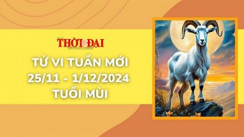 tu vi tuan moi 2511 den 1122024 tuoi mui tinh duyen cong danh tai loc phat trien hung thinh