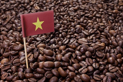 Trong 10 tháng đầu năm, các doanh nghiệp đã xuất khẩu khoảng 1,3 triệu tấn cà phê, đạt kim ngạch 3,2 tỷ USD
