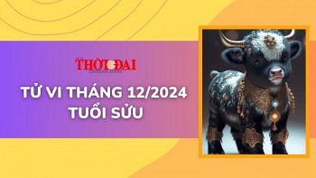 Tử vi tháng 12/2024 tuổi Sửu: Khó khăn dồn dập, công việc trì trệ