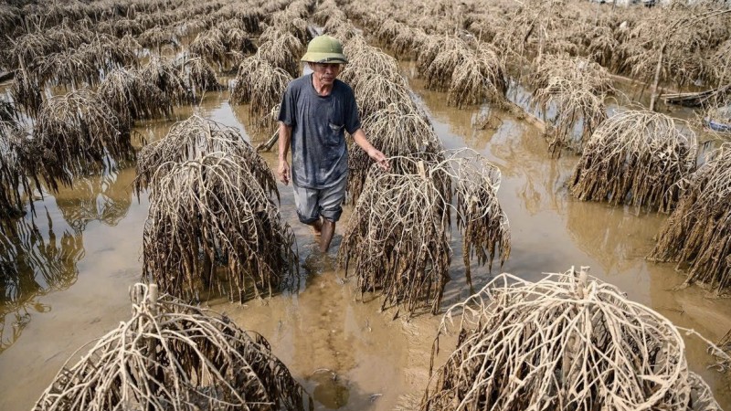 ha noi ho tro nguoi trong quat dao canh bi thiet hai do bao so 3