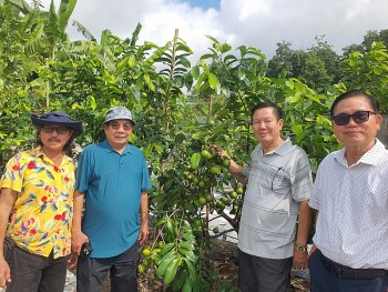 Lão nông Bình Dương đam mê thuần hóa cây độc, lạ