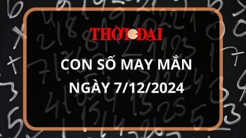 Con số may mắn hôm nay 7/12/2024 12 con giáp: Dậu có cơ hội phát tài phát lộc đổi đời trong chớp mắt