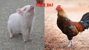 Top con giáp may mắn hôm nay 5/12/2024: Hợi thăng tiến công việc Dậu tin vui đường tài chính