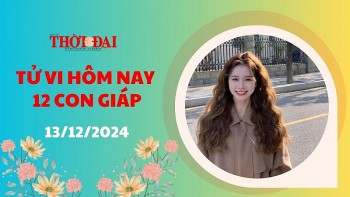 Tử vi hôm nay 12 con giáp 13/12/2024: Thích hợp để Ngọ đầu tư làm ăn