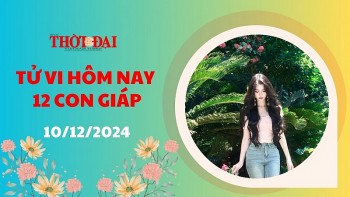 Tử vi hôm nay 12 con giáp 10/12/2024: Sửu tài lộc dồi dào