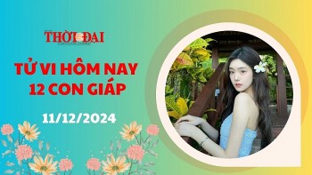 Tử vi hôm nay 12 con giáp 11/12/2024: Thìn gặp xui rủi có điềm báo tiểu nhân quấy phá