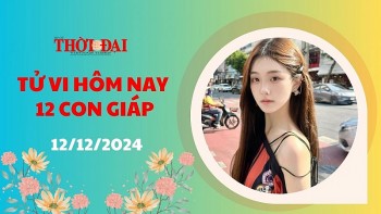 Tử vi hôm nay 12 con giáp 12/12/2024: Sự nghiệp Tỵ có nhiều điểm sáng