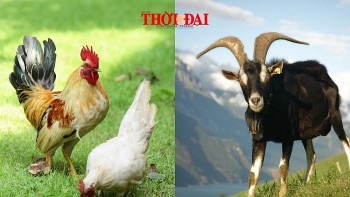 Top con giáp may mắn hôm nay 7/12/2024: Mùi liên tiếp đón nhận tin vui Dậu phát tài phát lộc