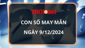 Con số may mắn hôm nay 9/12/2024 12 con giáp: Những con số đại cát đại lợi