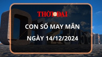 Con số may mắn hôm nay 14/12/2024 12 con giáp: Mão tài lộc đầy nhà