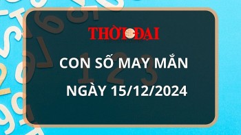 Con số may mắn hôm nay 15/12/2024 12 con giáp: Thìn gặp vận đổi đời trong chớp mắt?