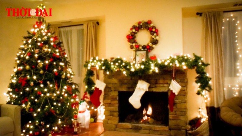 Noel 2024: Ý nghĩa của cây thông Noel trong ngày lễ Giáng Sinh