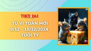 Tử vi tuần mới 9/12 đến 15/12/2024 tuổi Tý: Tình duyên, công danh tài lộc